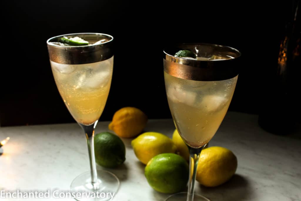 Fig Fizz